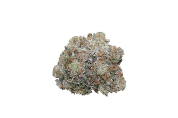 product_img1